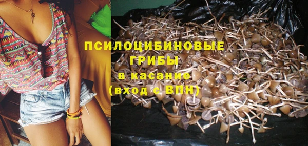 PSILOCYBIN Аркадак