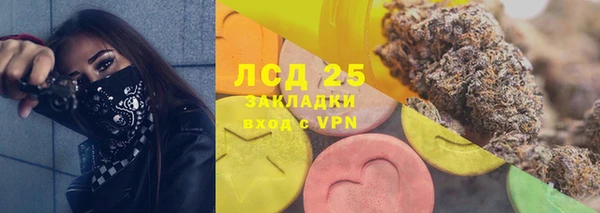 ПСИЛОЦИБИНОВЫЕ ГРИБЫ Богородицк