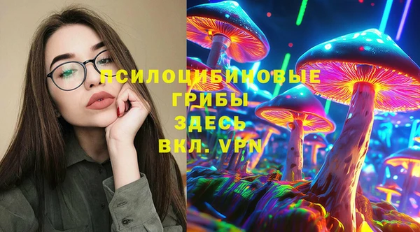 PSILOCYBIN Аркадак