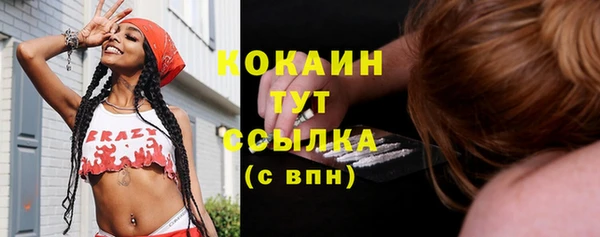 бошки Заполярный