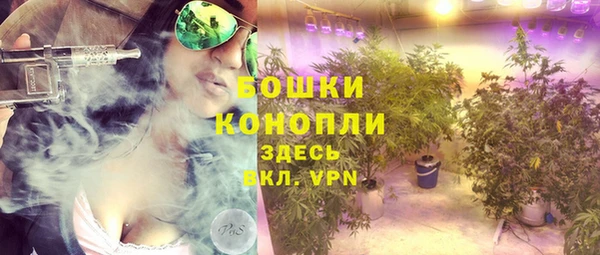 PSILOCYBIN Аркадак