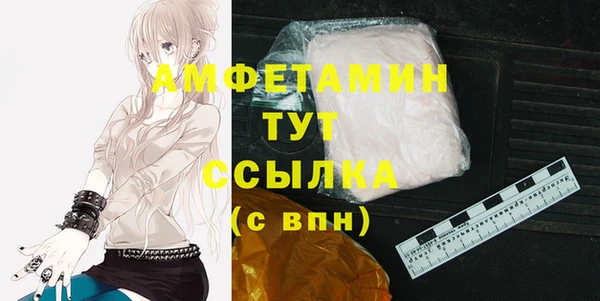 индика Богородск
