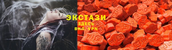 индика Богородск
